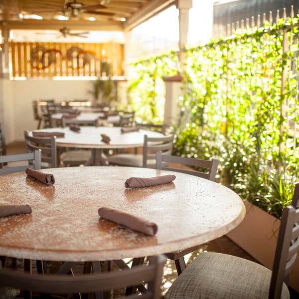 Sunny outdoor patio dining area with round tables, chairs, and lush green foliage.